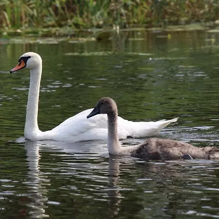 Hildchen Comfortable Vakantiehuis Priepert