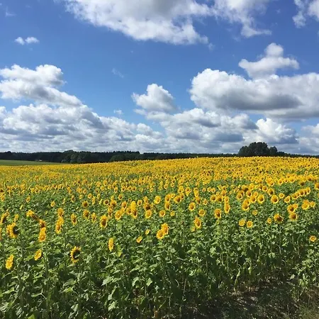 Vakantiehuis Hildchen Comfortable Priepert